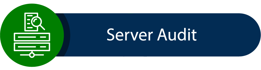 Server Audit