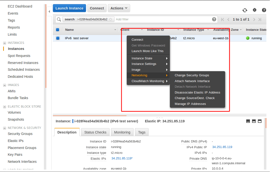 Opening the manage IP addresses menu for my instance