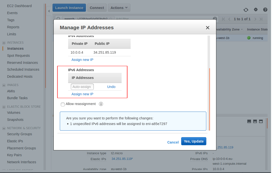 Assigning a new IPv6 IP